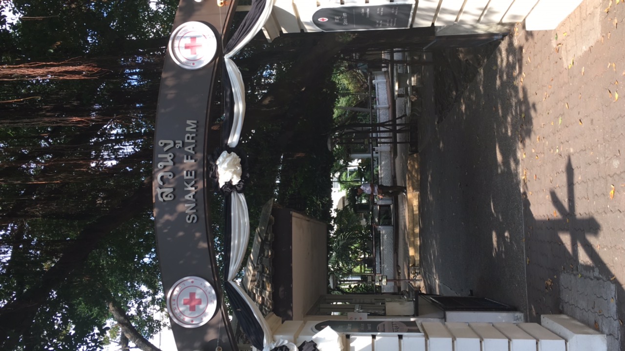 what a wild card in our itinerary. it looked exactly the same as i had remembered it when i visited it as a kid, i have a photo of child me posing with a snake printed on a plate at my grandparents’