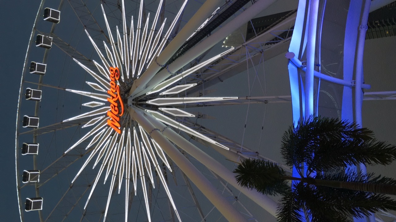 another shot of the iconic ferris wheel