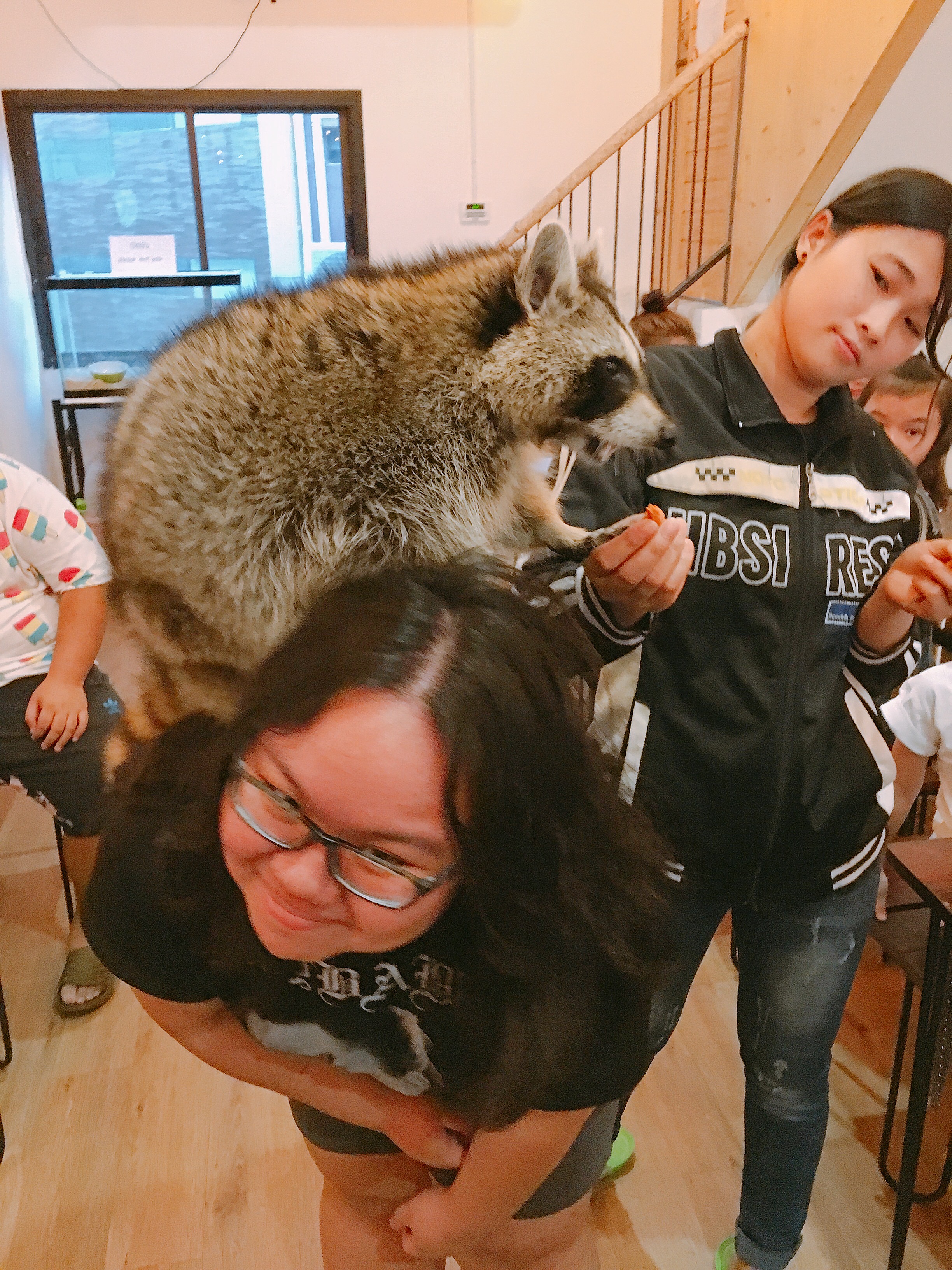 no longer sure about the ethicality of pet cafes… but this was very fun. I love raccoons so much, and they also had meerkats, foxes, cats, parrots…