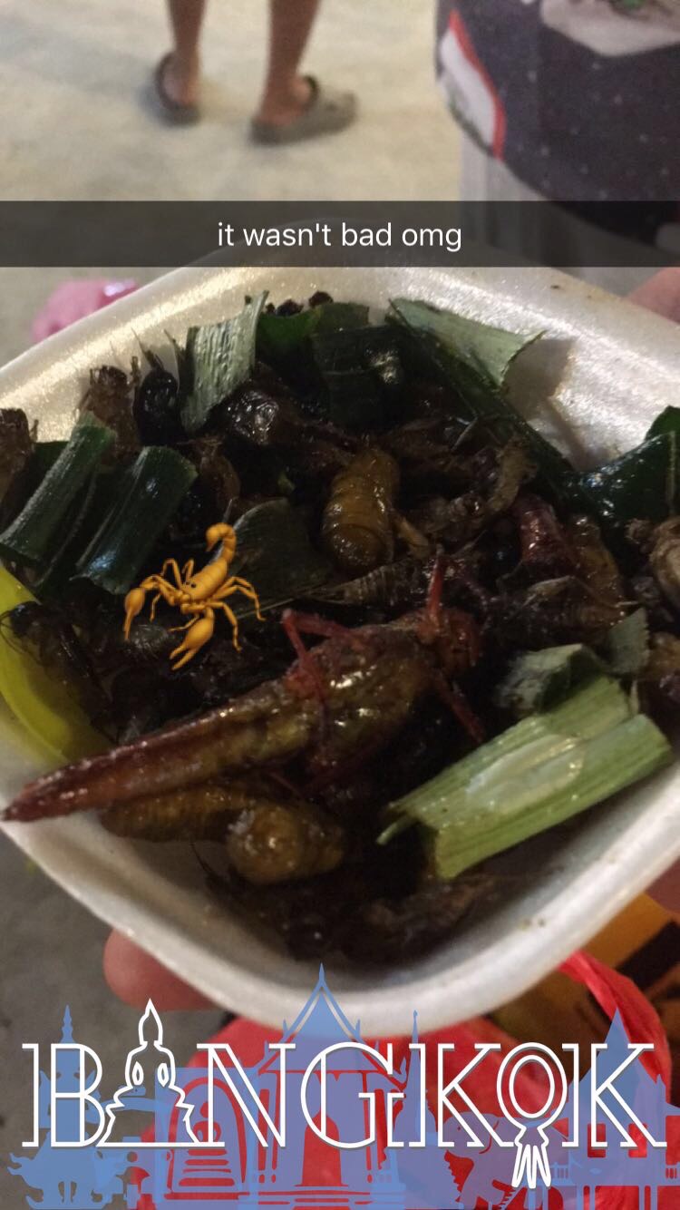 yep… we did it… we tried insects 🤢 I actually really liked the crickets and the whole dish was seasoned really well, but I couldn’t get past those and entirely skipped the maggots and scorpions